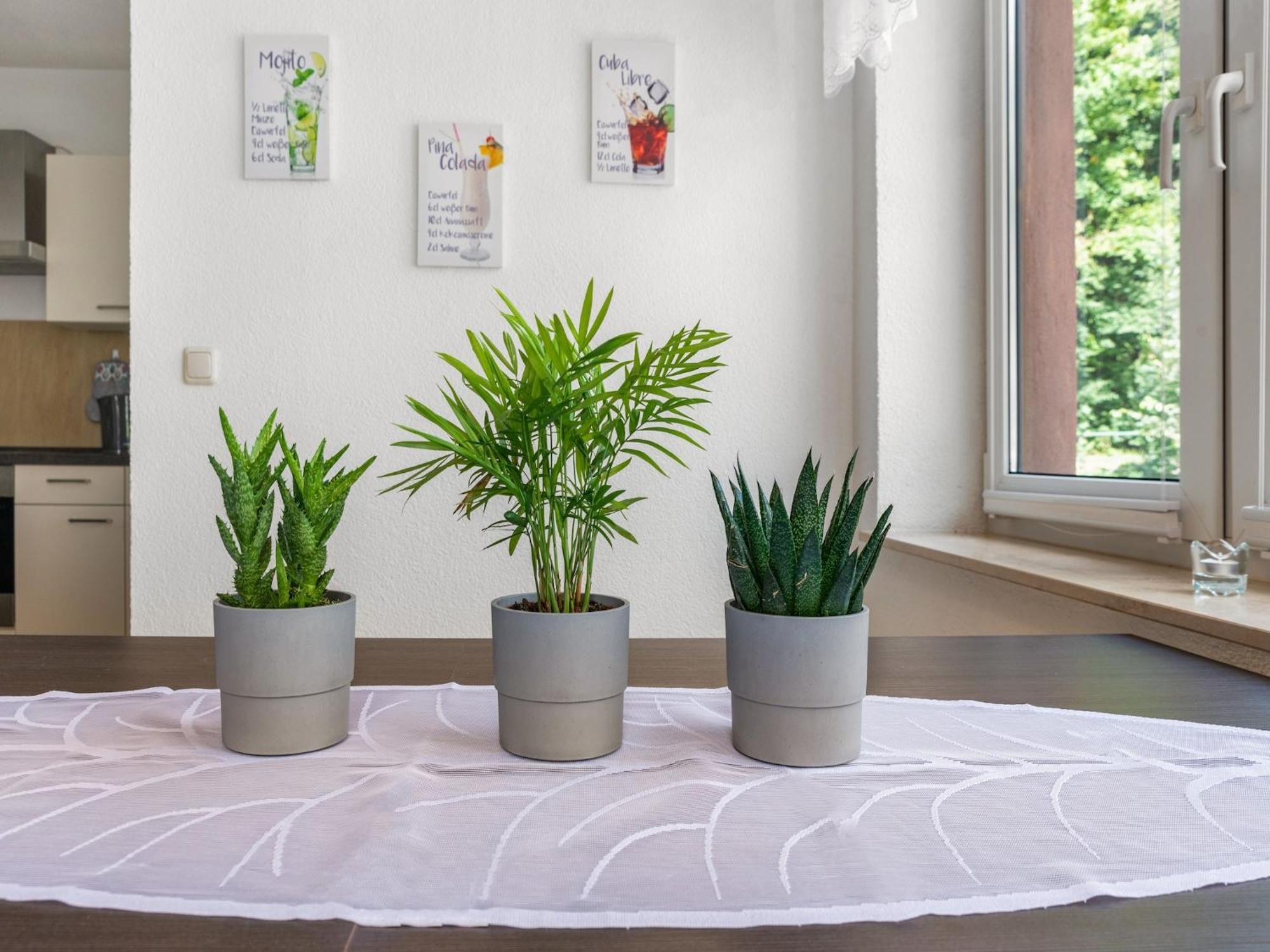 Modern Apartment In Sebnitz With A Terrace In Sebnitz Exterior photo